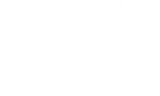 FX