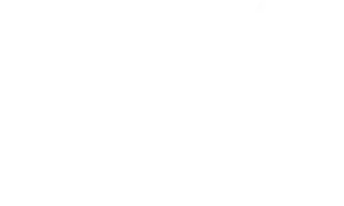 FX