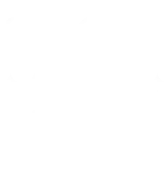 Austin City Limits Music Festival