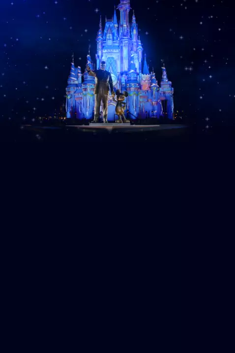 Lasting Wishes: A Disney and Make-A-Wish Celebration