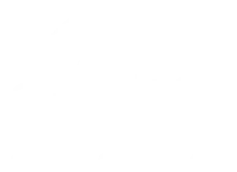 Disney+ Original
