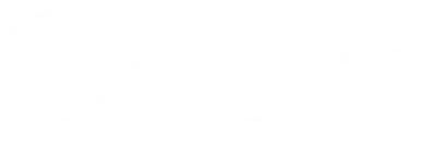 Vice