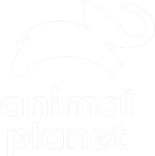 Animal Planet
