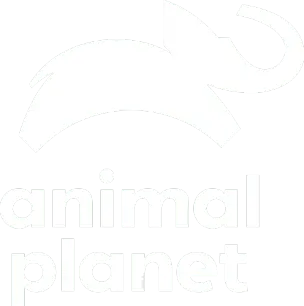 Animal Planet