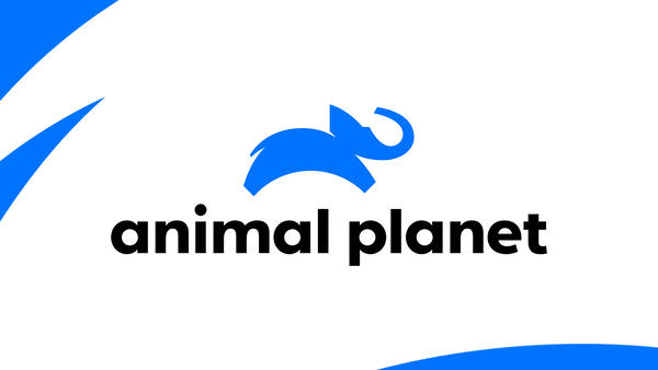 How to Watch Animal Planet Without Cable in 2023? - TechTipsUnfold